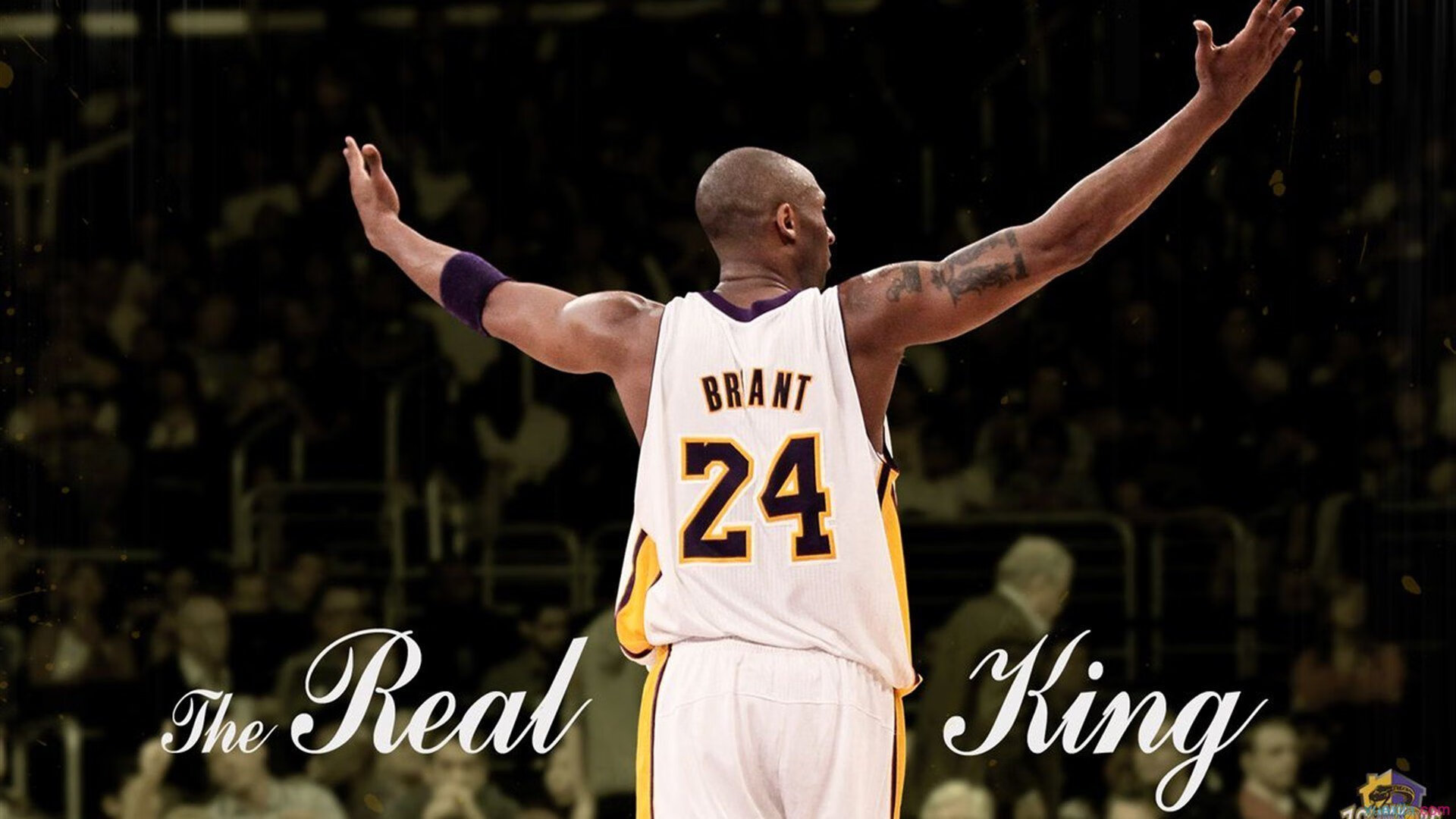 佩拉卡尼完成蝶泳挑战展多面实力，卡佩拉mvp